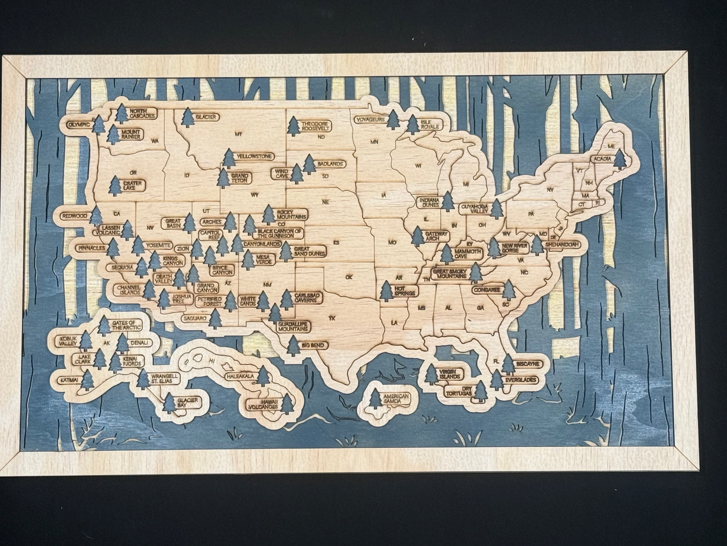 United States National Parks Engraved Map